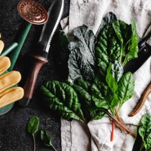 How to Consider Gardening as Exercise