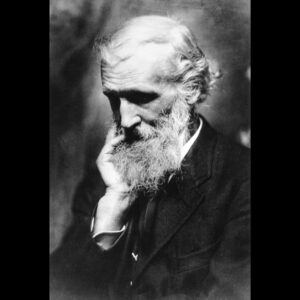 Hitched to Everything Else . . .