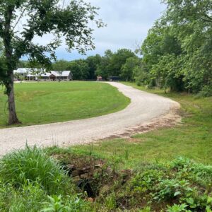 Get Ready This Summer For Next Year’s Wildflowers