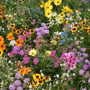 Golf Course Flower Mix