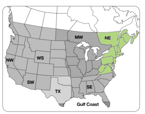 Northeast Native Wildflower Mix - Image 2