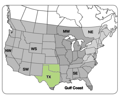 Texas Oklahoma Native Wildflower Mix - Image 3